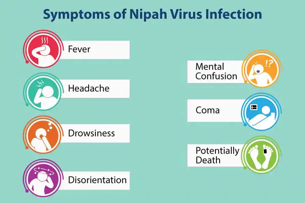 symptoms of nipah virus